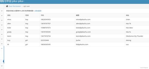 網絡與信息安全軟件開發 第八天關鍵漏洞分析與防護